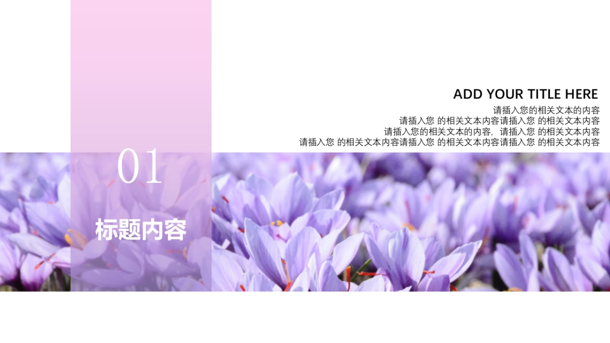 中国风PPT-文艺 (46)_第3页