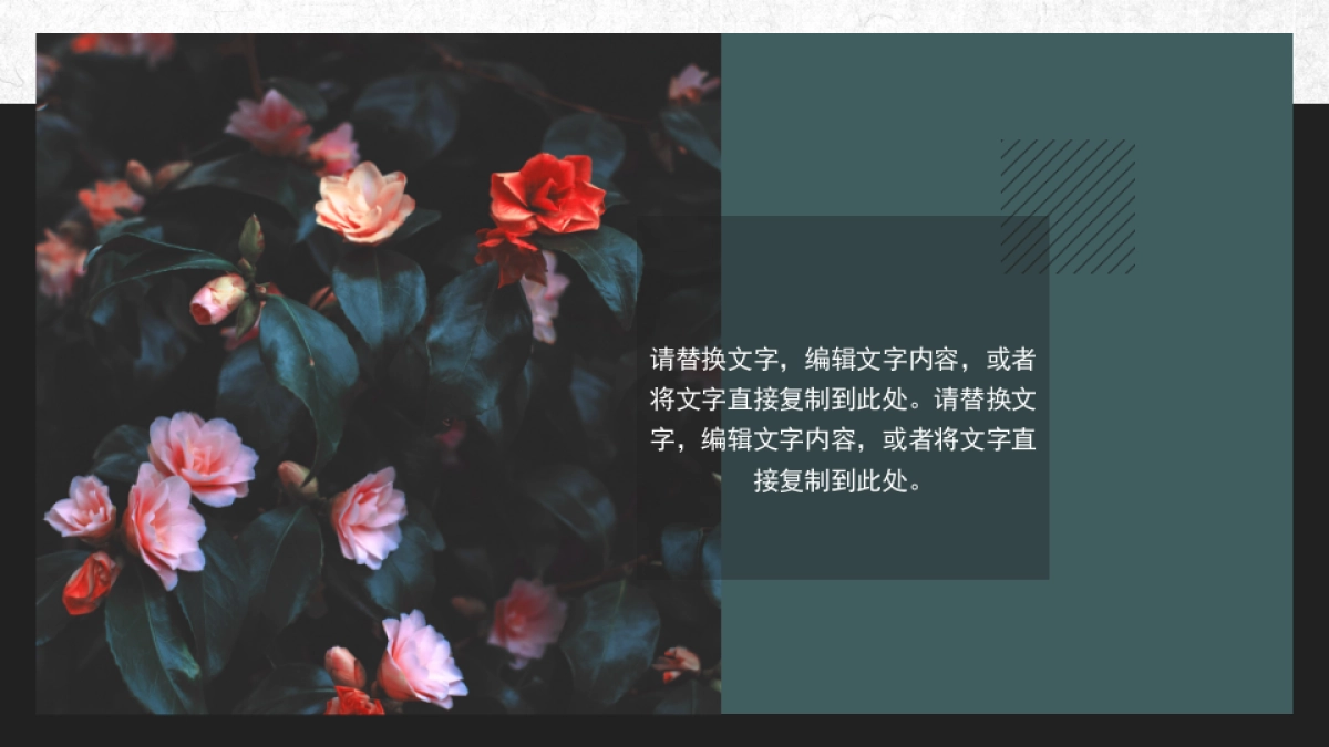 中国风PPT-杂志 (65)_第5页