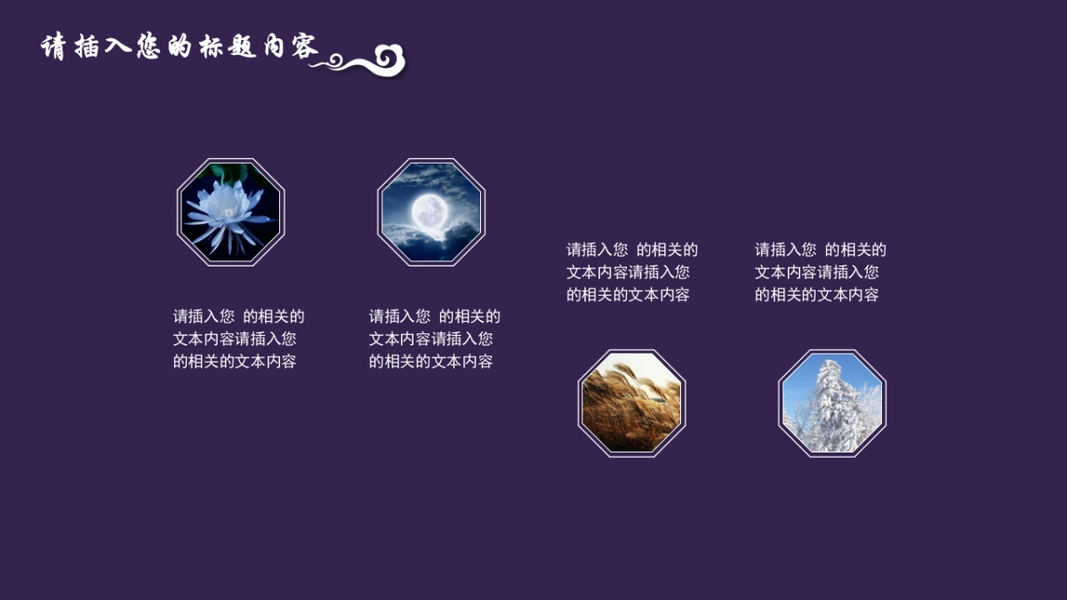 中国风设计-仙鹤 (17)_第5页