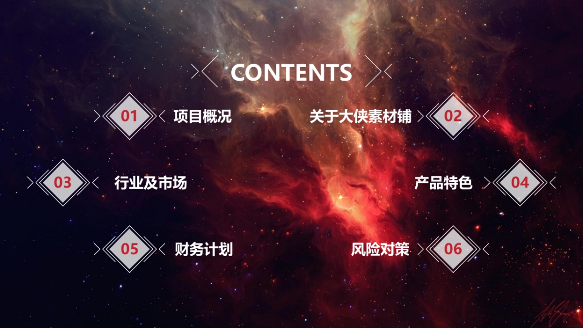 融资路演(1)_第2页