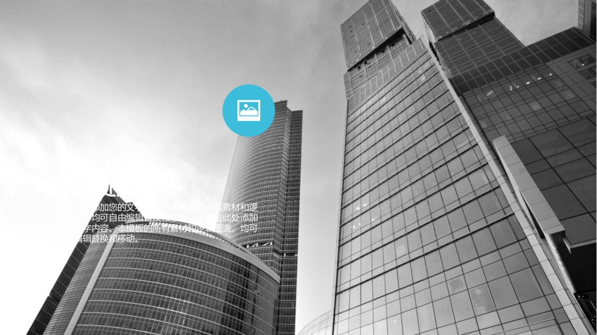 融资路演(1)_第5页