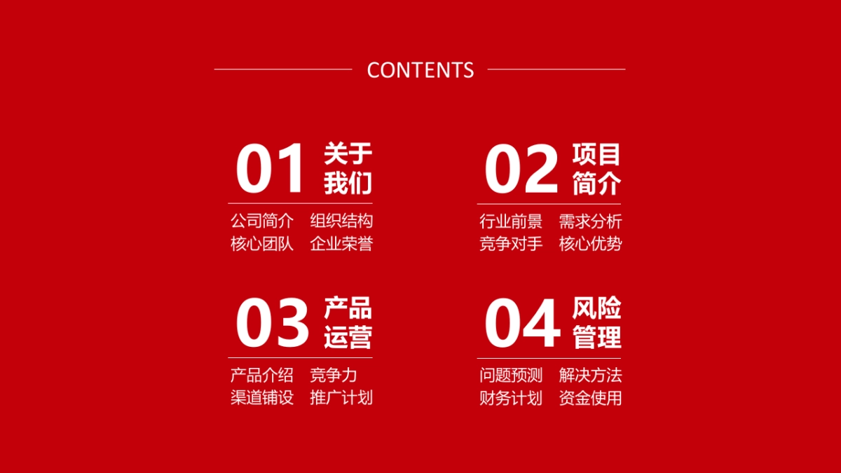 融资路演(2)_第2页