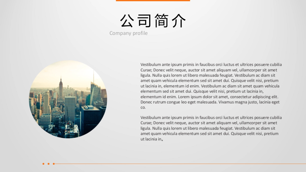 融资路演(6)_第4页