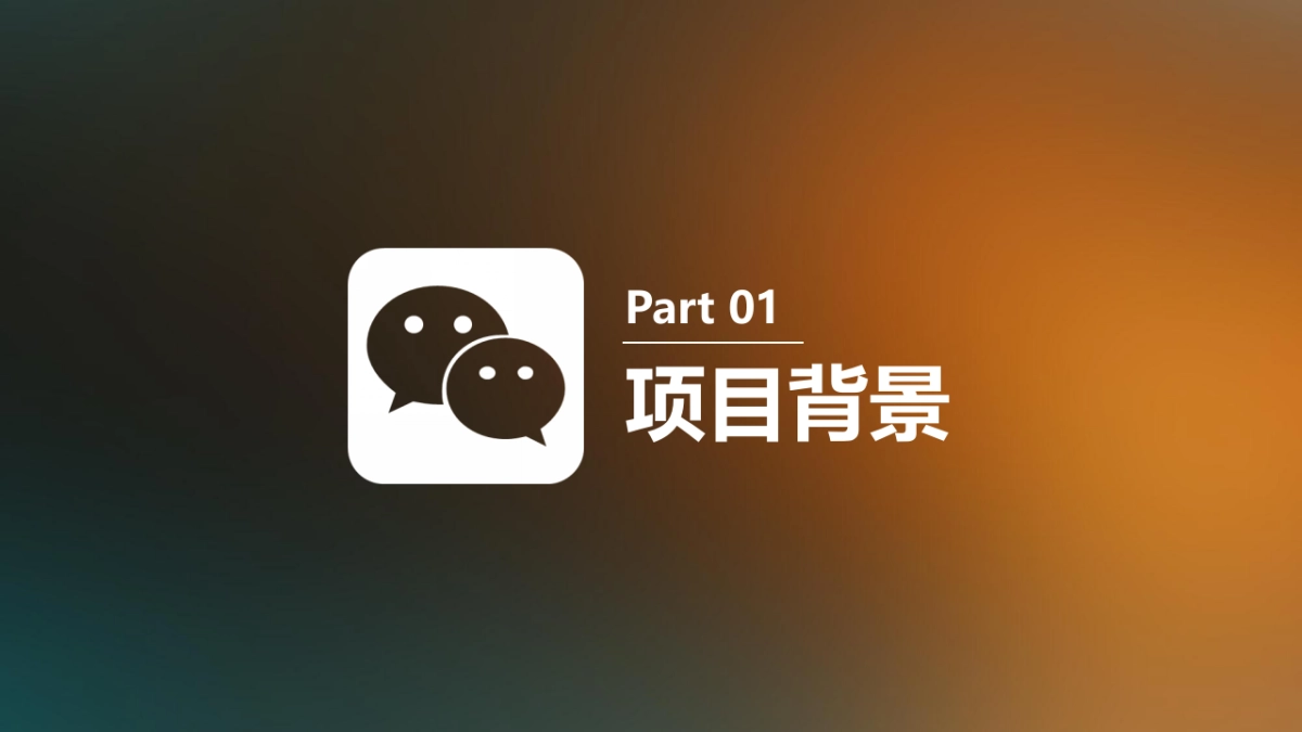 融资路演(8)_第3页