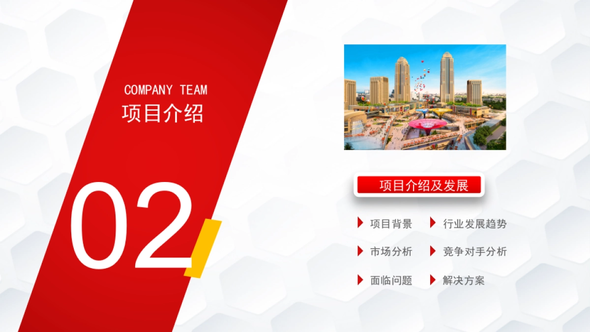 融资路演(16)_第10页