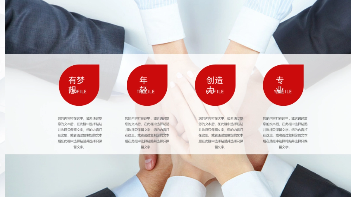 融资路演(16)_第6页