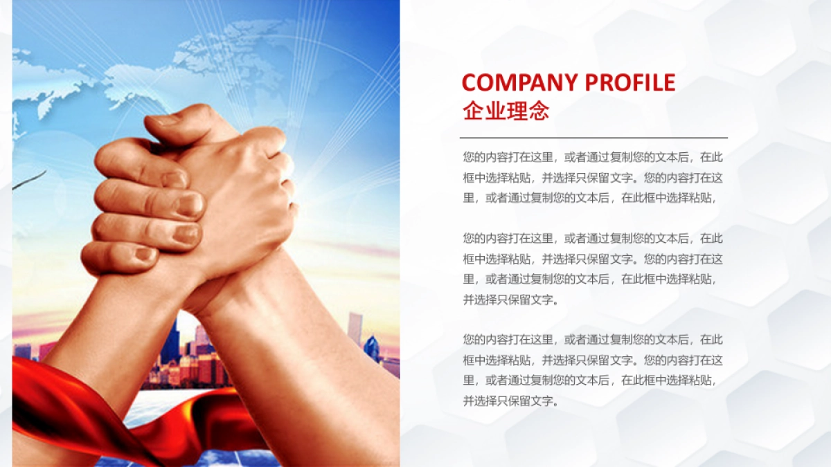 融资路演(16)_第8页