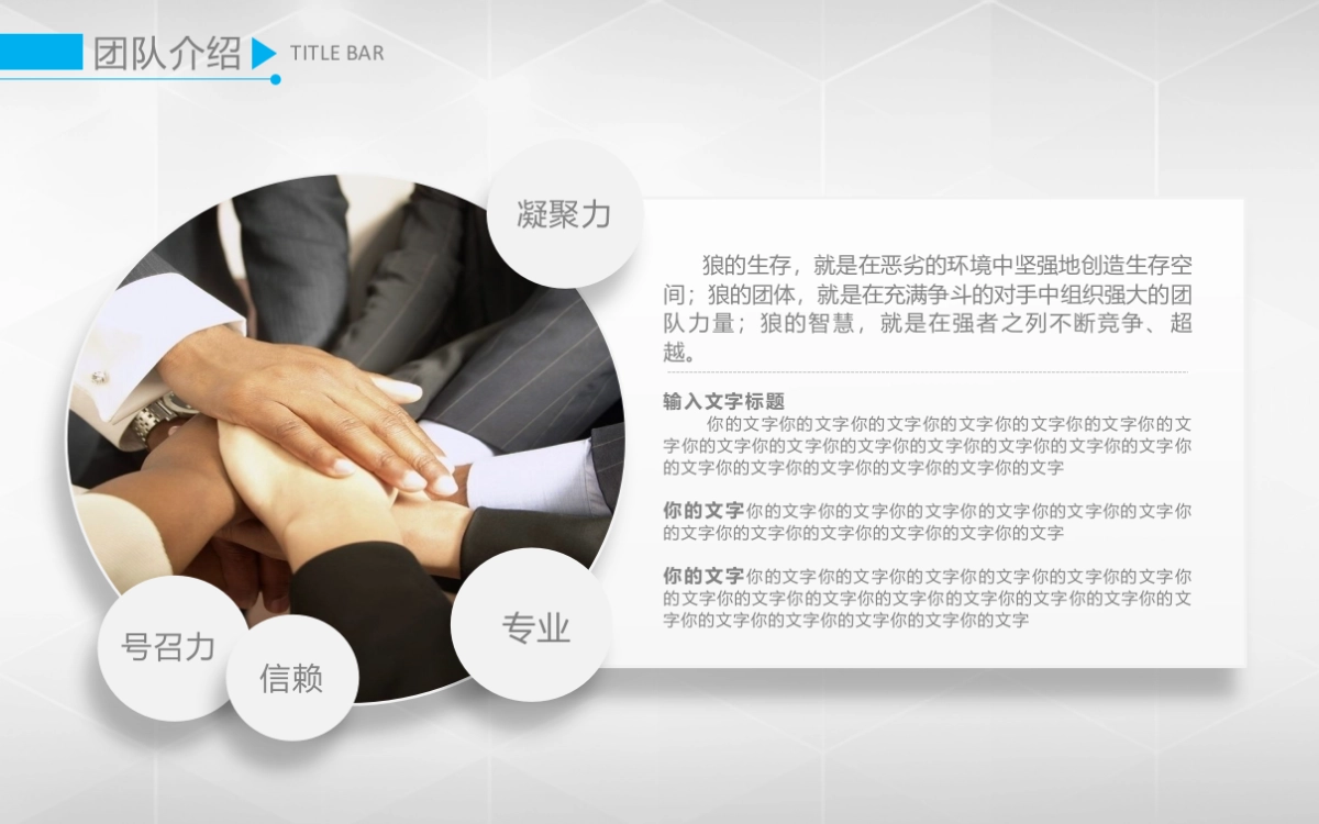 融资路演(28)_第7页