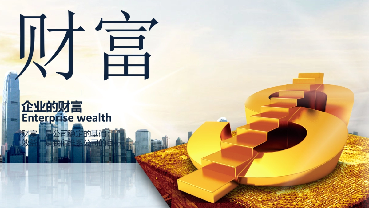 融资路演(40)_第3页