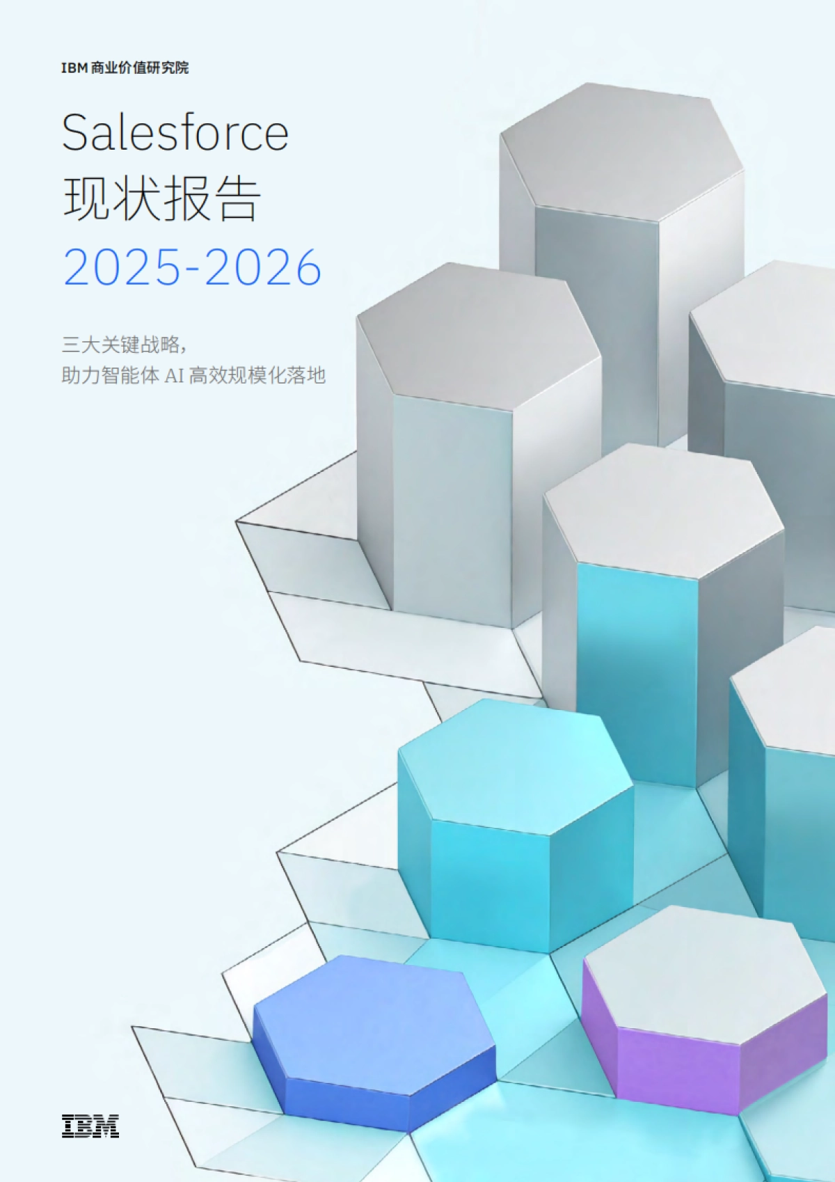 Salesforce 现状报告 2025-2026-IBM 商业价值研究院.pdf_第1页