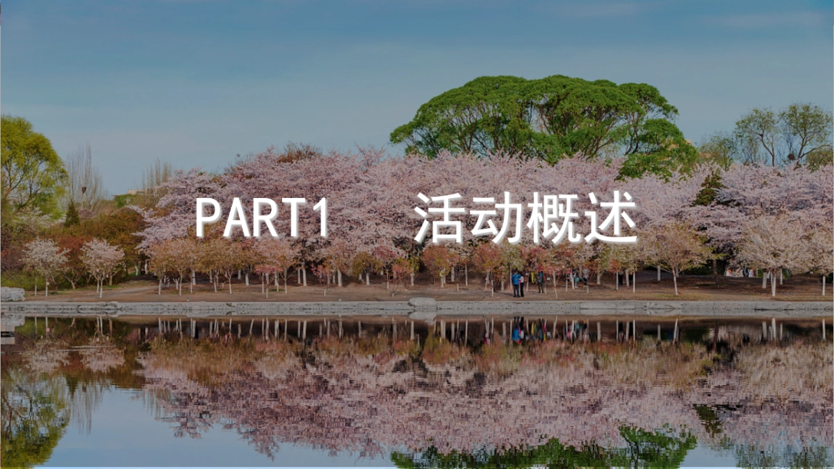 樱花节春季游园及手作活动方案_第2页