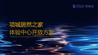 2020项城居然之家开放盛典活动策划方案-81P