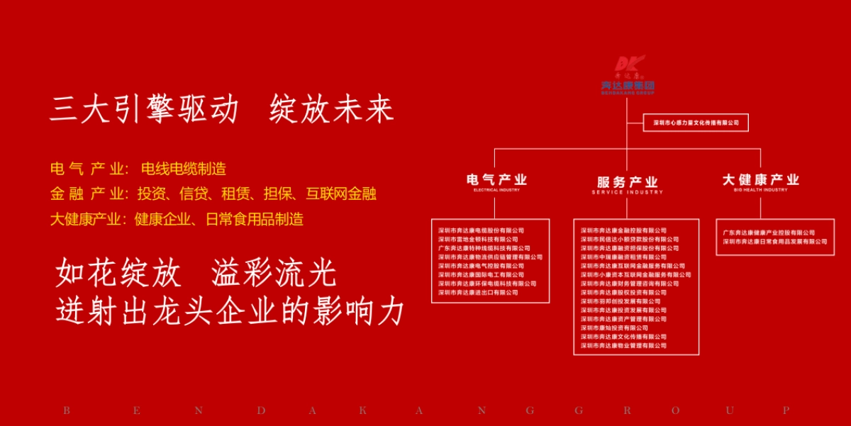 2017奔达康20周年时尚庆典策划案_第9页