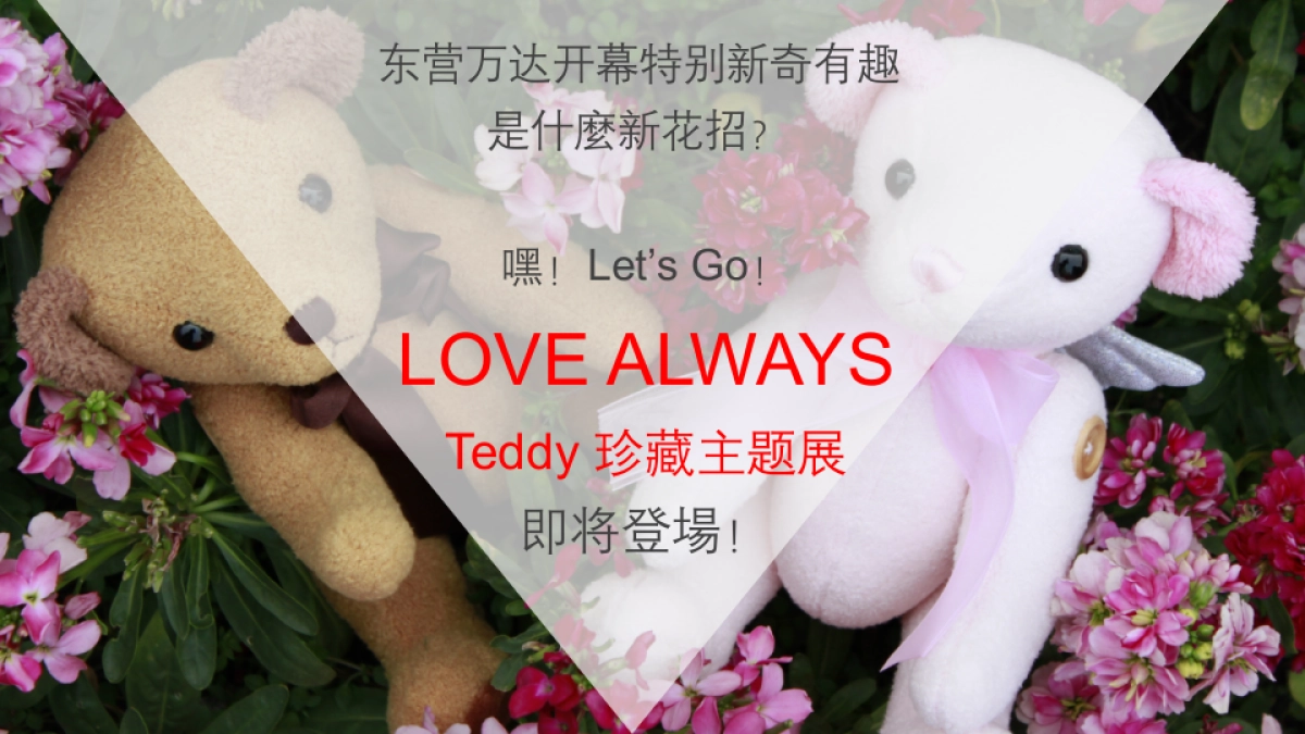 2017东营万达开幕泰迪主题方案_第4页