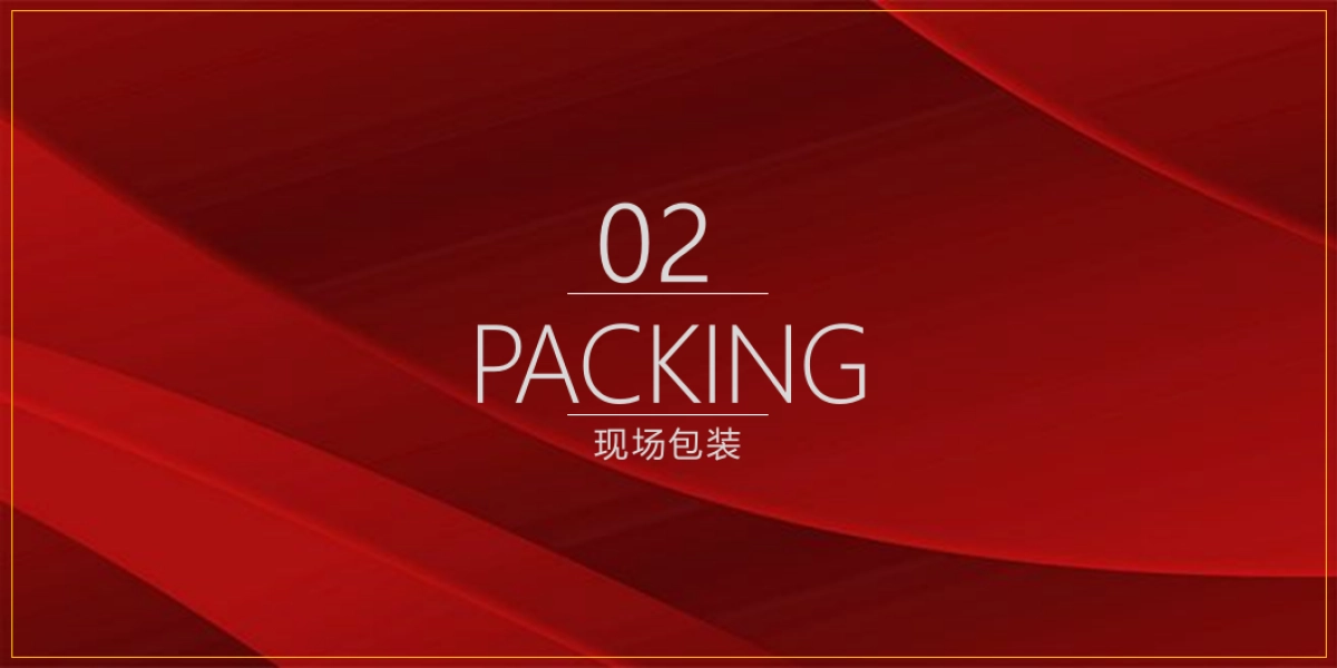 2017海口广物滨海国际开盘盛典活动方案_第5页