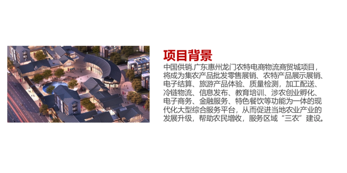 2017龙门中农特电商物流商贸城奠基仪式方案_第2页