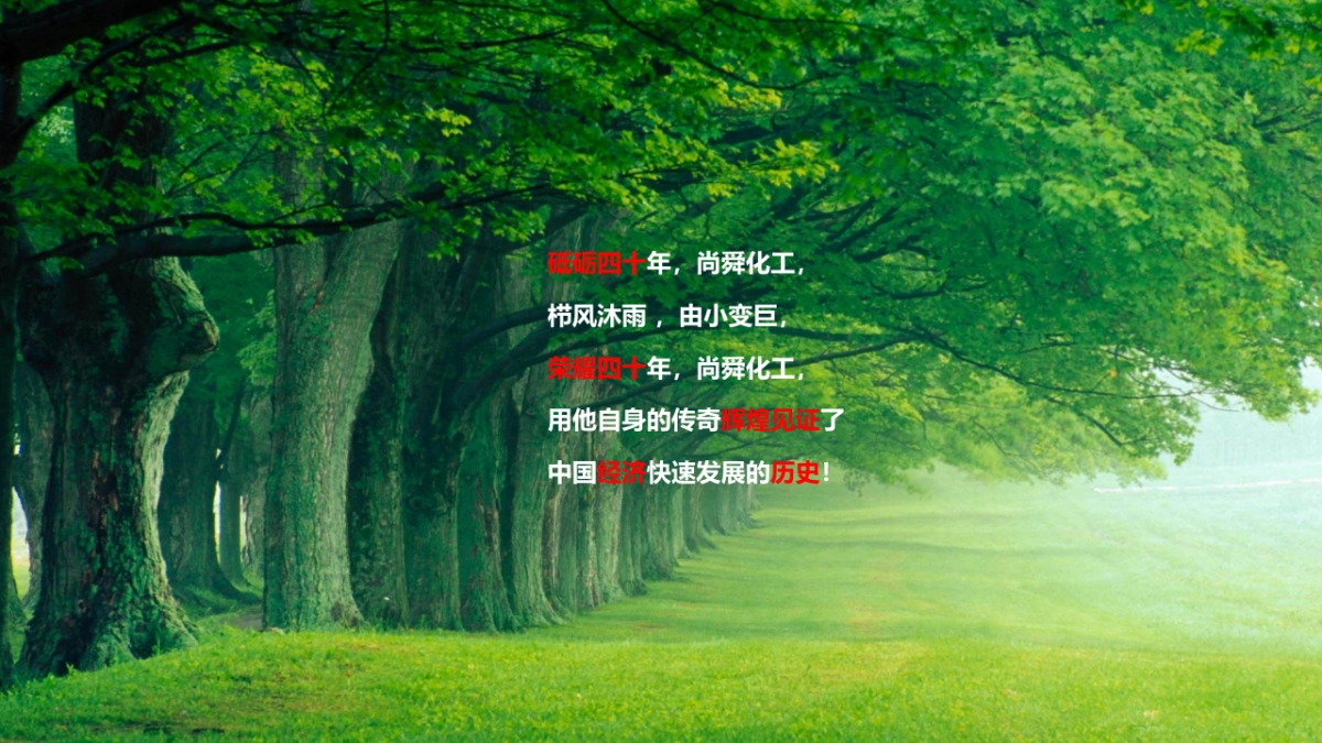 2017尚舜化工荣耀40周年盛典策划案_第3页