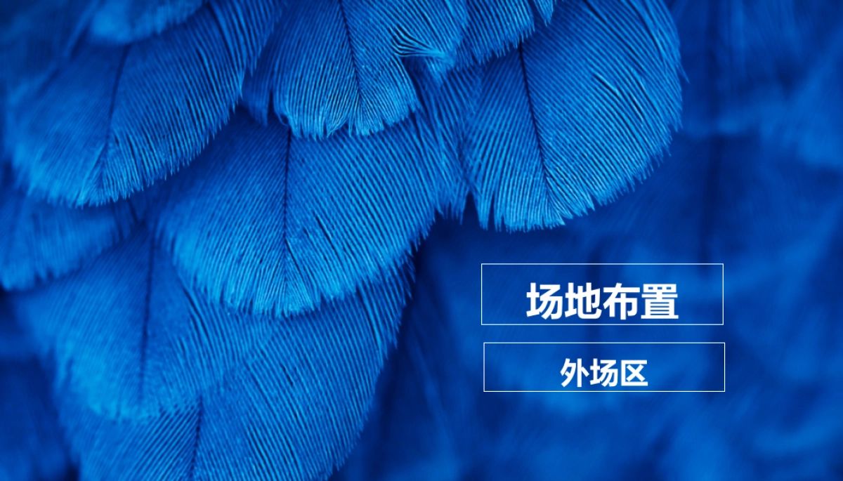 2017瑶海达广场大商业亮灯仪式暨世界极限逃脱表演秀策划案_第7页
