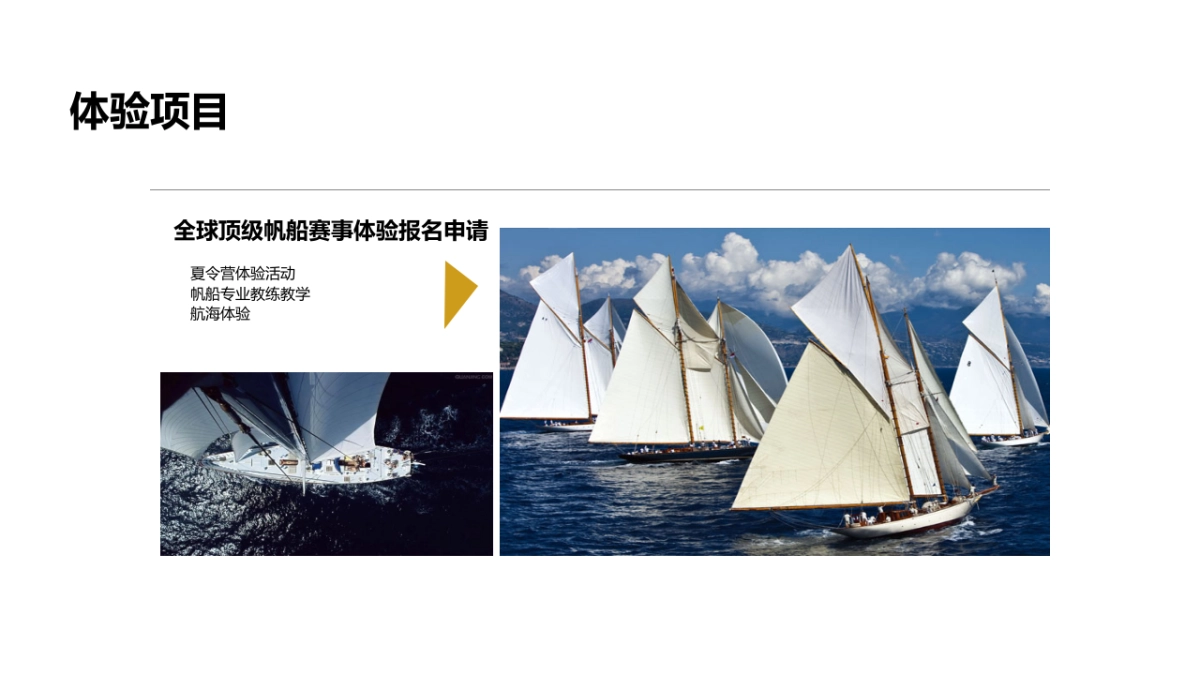 2018滨海嘉年华启幕仪式策划方案_第9页