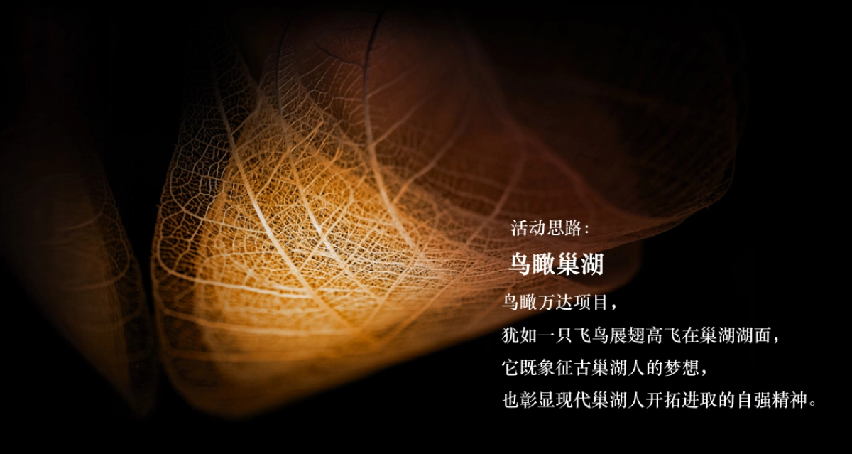 2018巢湖万达广场开业盛典策划案_第6页