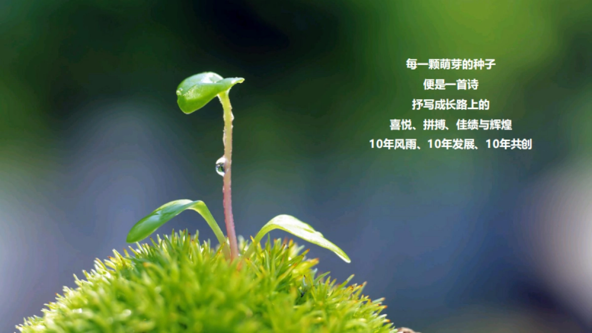 2018货车帮10周年年会盛典_第3页