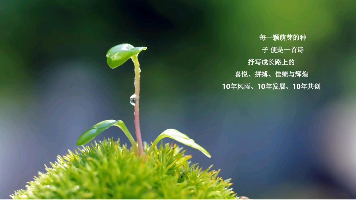 2018年货车帮10周年年会盛典_第3页