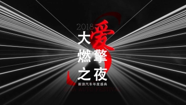 2018新浪汽车盛典公益方案