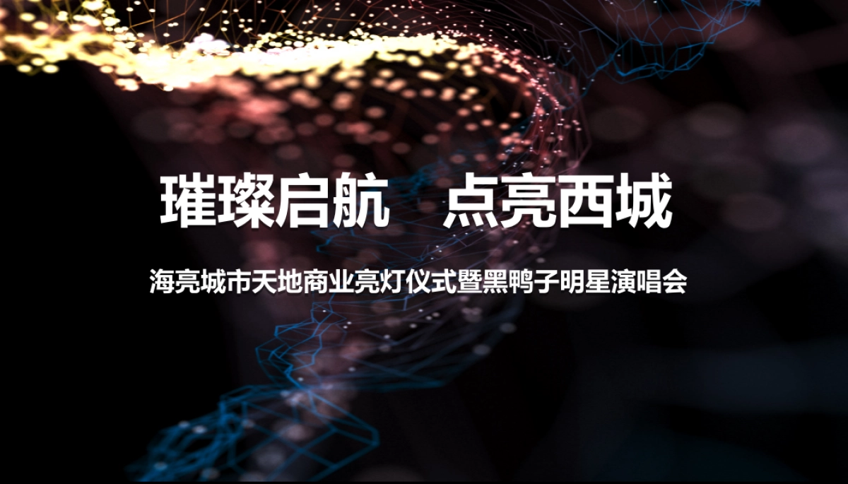 海亮城市天地商业亮灯仪式暨黑鸭子明星演唱会方案_第1页