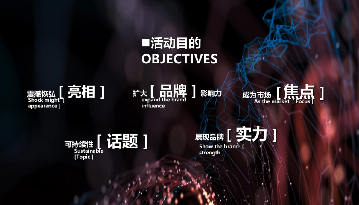 海亮城市天地商业亮灯仪式暨黑鸭子明星演唱会方案_第2页