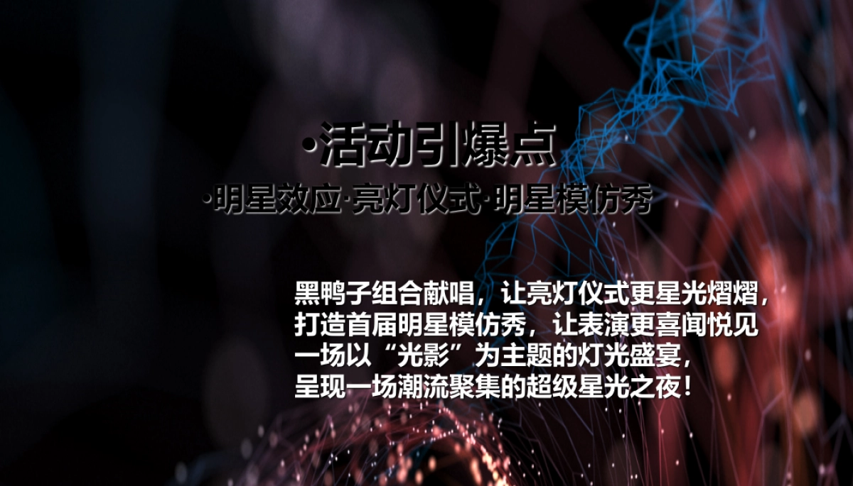 海亮城市天地商业亮灯仪式暨黑鸭子明星演唱会方案_第3页