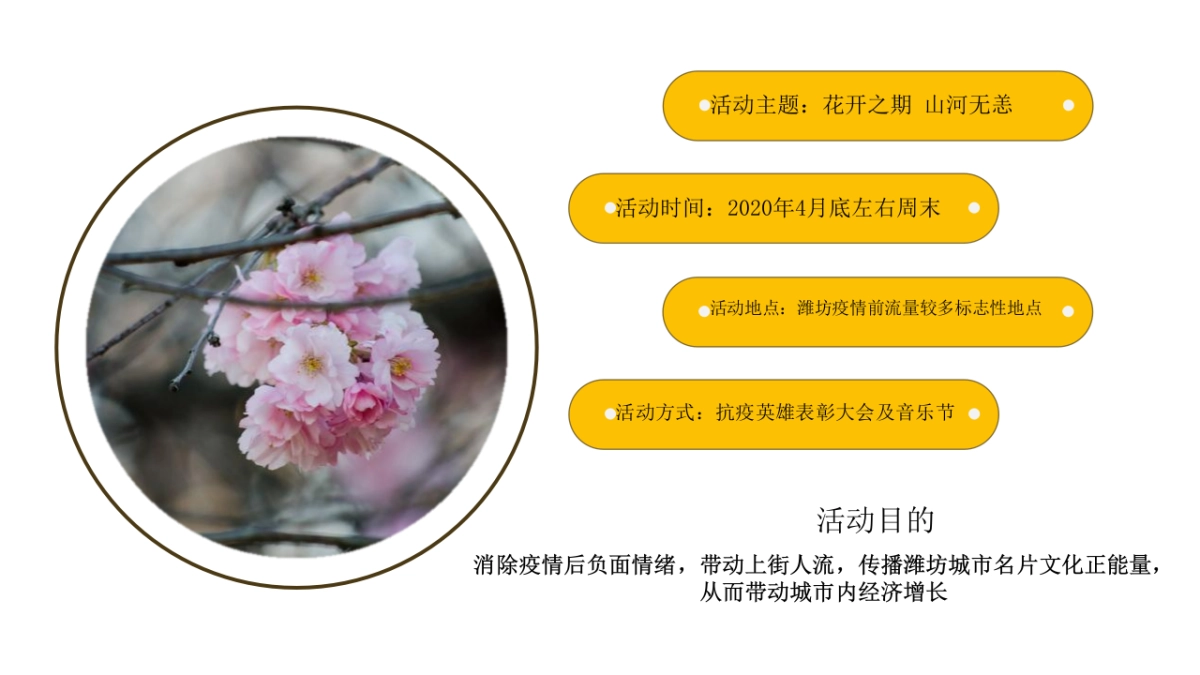 2020政府抗疫英雄表彰音乐盛典（花开之期 山河无恙主题）活动策划方案-45P_第10页