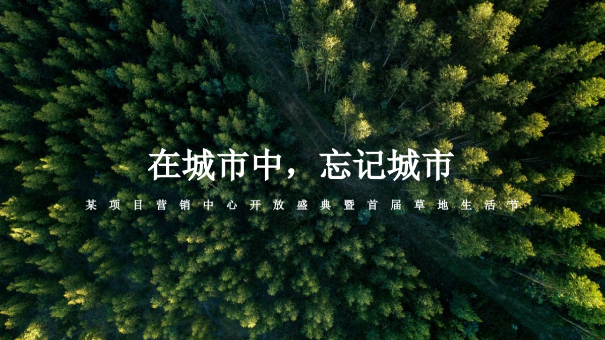 2021某项目营销中心开放盛典暨首届草地生活节 （在城市中 忘记城市主题）活动策划方案_第1页