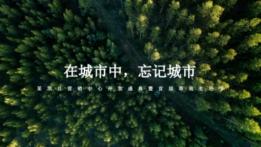 2021某项目营销中心开放盛典暨首届草地生活节 （在城市中 忘记城市主题）活动策划方案