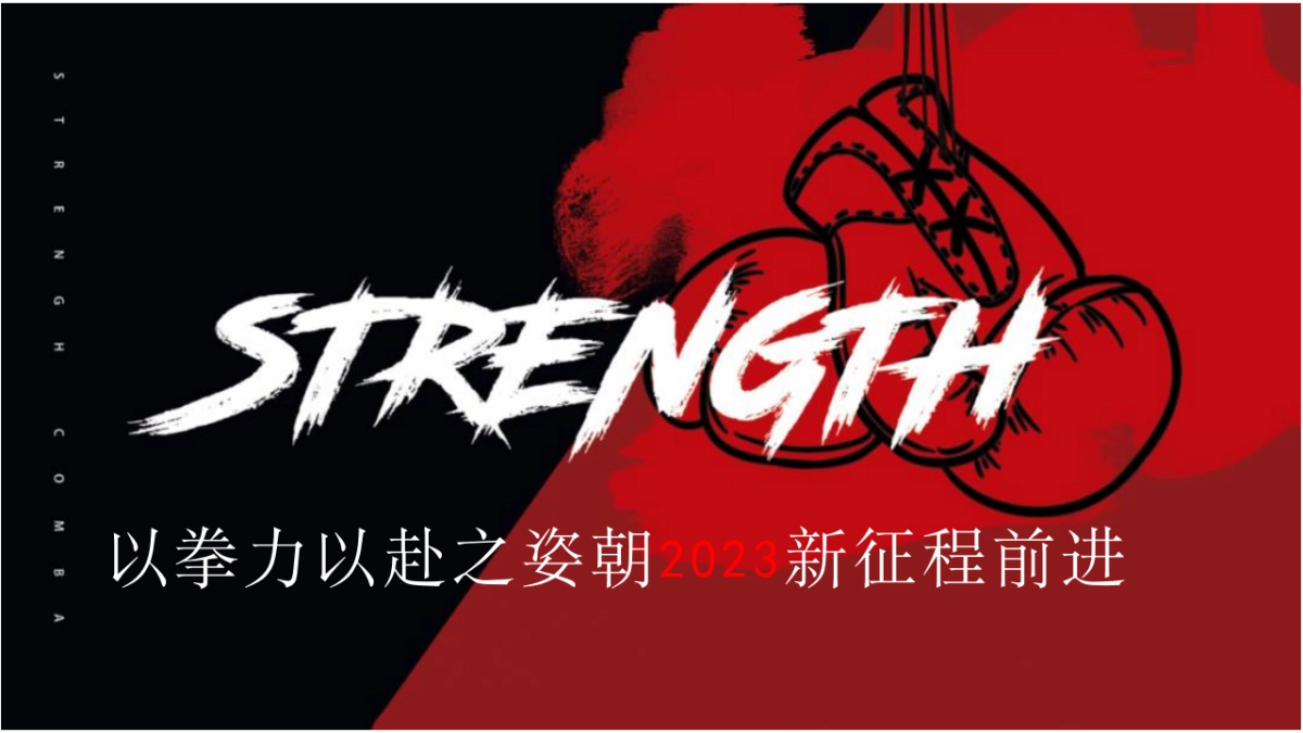 2023公司年会盛典“拳力以赴·激战新章”活动策划方案_第6页