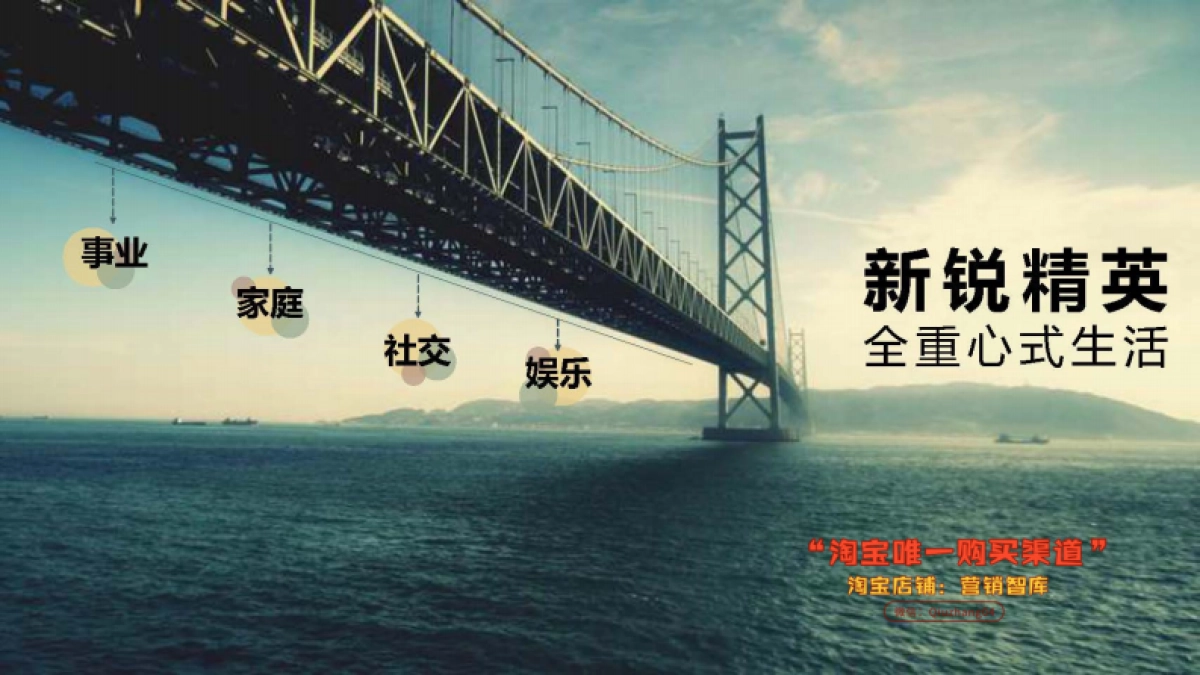 HUAWEI AB首销盛典活动方案_第6页