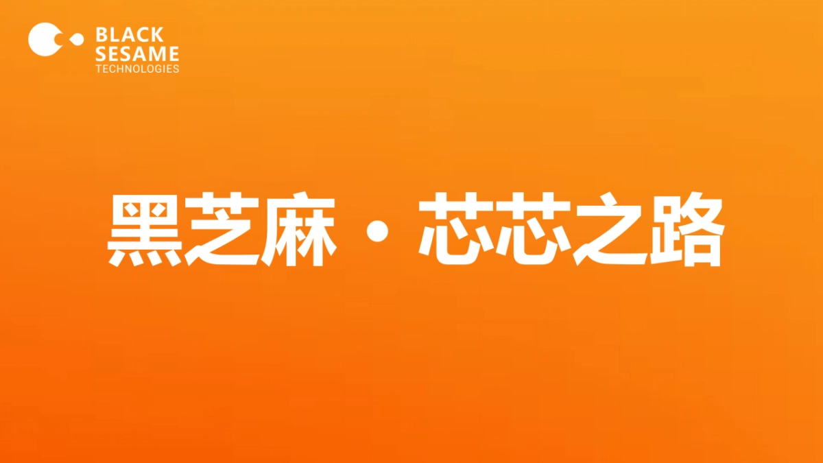 黑芝麻智能科技5周年庆典活动方案_第10页