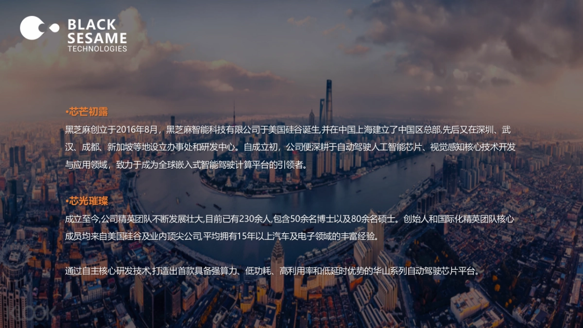 黑芝麻智能科技5周年庆典活动方案_第4页