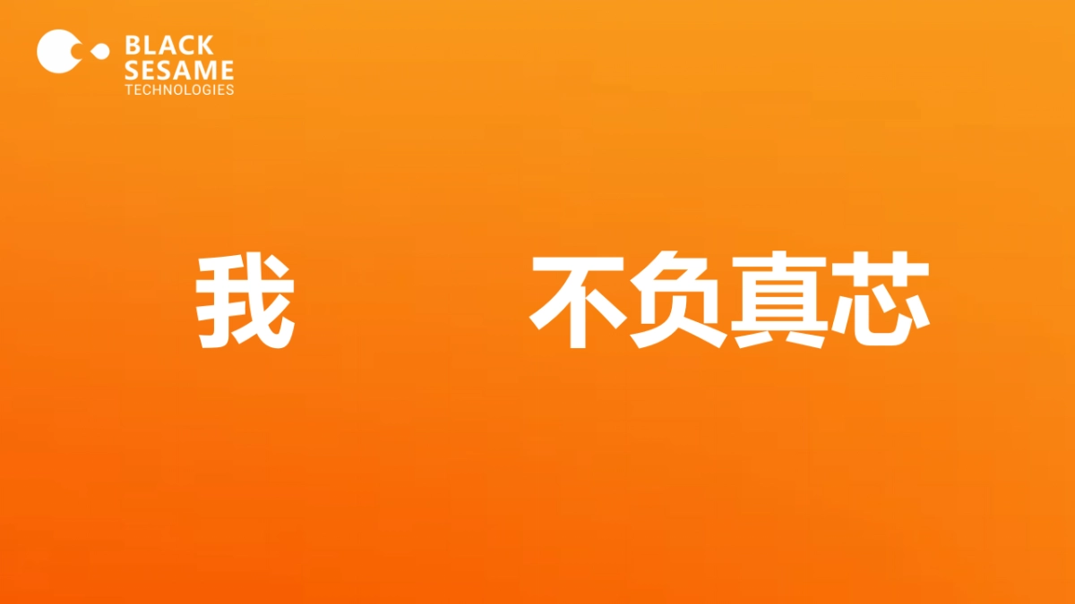 黑芝麻智能科技5周年庆典活动方案_第8页