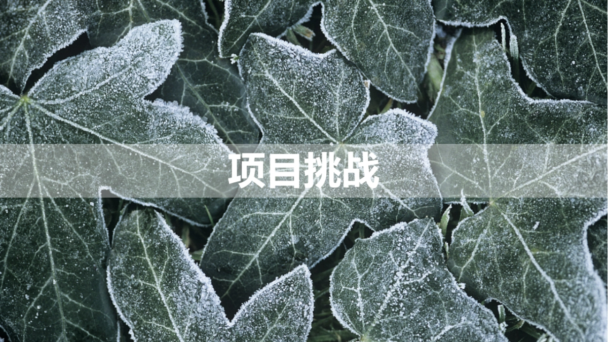 黄土农言生态庄园中西文化盛典策划案_第10页