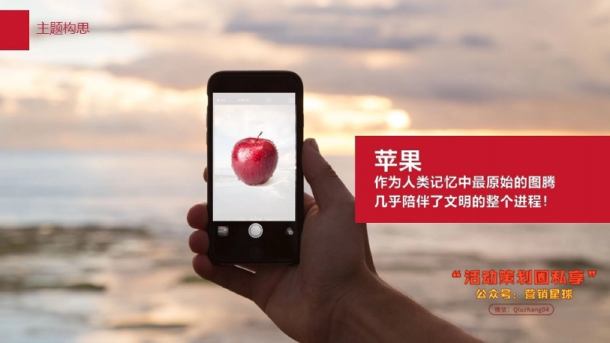 罗氏芬25周年庆方案_第4页