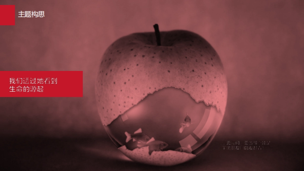 罗氏芬25周年庆方案_第5页