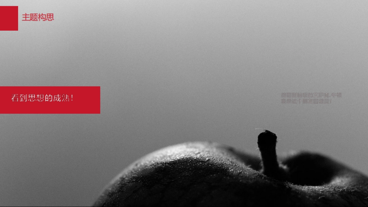 罗氏芬25周年庆方案_第6页