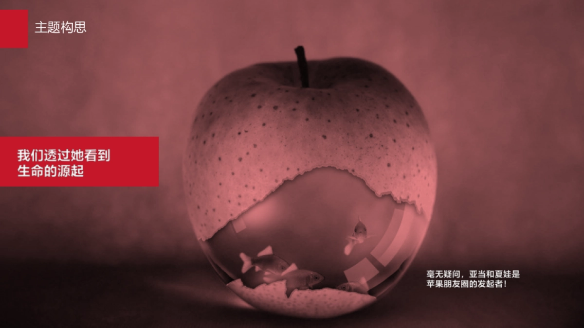 罗氏芬25周年庆方案更新-上海群翊_第5页