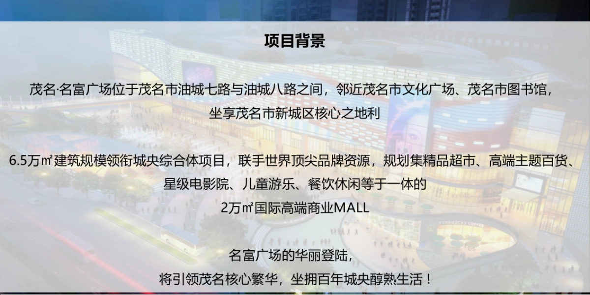 茂名名富广场开业及暖场活动策划方案-169P_第4页