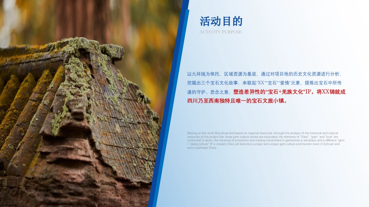 茂县宝石小镇开园仪式策划案_第9页