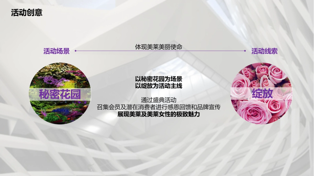 美莱医美盛典活动方案_第10页