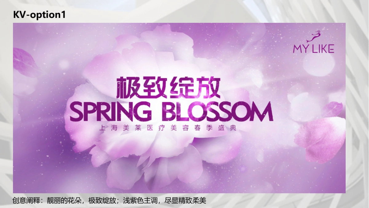 美莱医美盛典活动方案_第7页