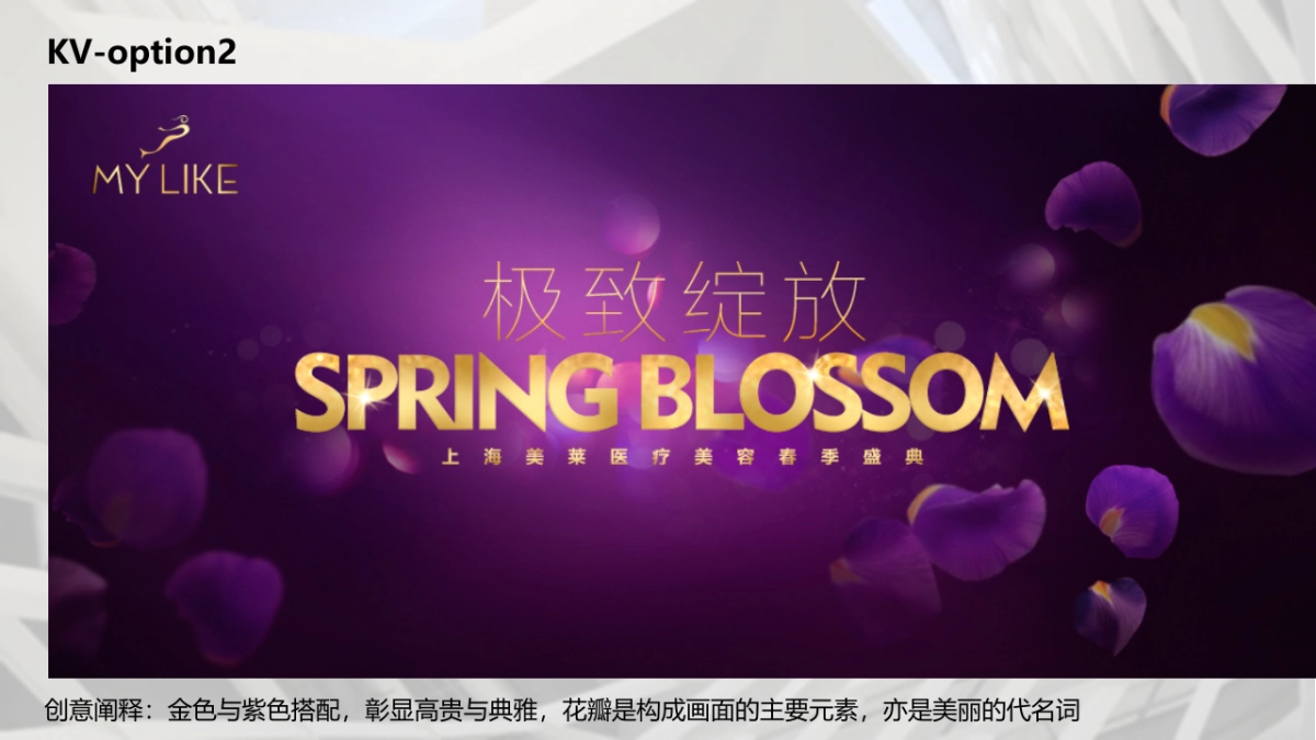 美莱医美盛典活动方案_第8页