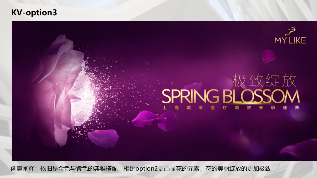 美莱医美盛典活动方案_第9页