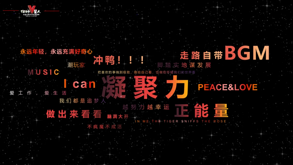 年度盛典（你好V星人主题）活动策划方案_第4页